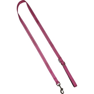 FRED&RITA Hundeleine reflektierend Rosa 2,5x120 cm 1 Einheit