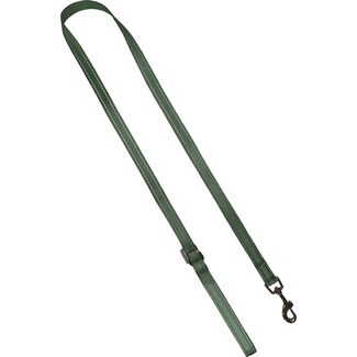 FRED&RITA Hundeleine reflektierend Eukalyptusgrün 1,5x120 cm 1 Einheit