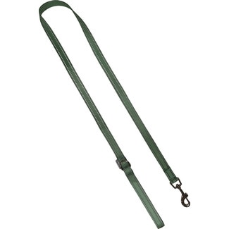 FRED&RITA Hundeleine reflektierend Eukalyptusgrün 2x120 cm 1 Einheit