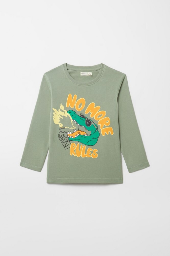 Camiseta discount dinosaurio zara