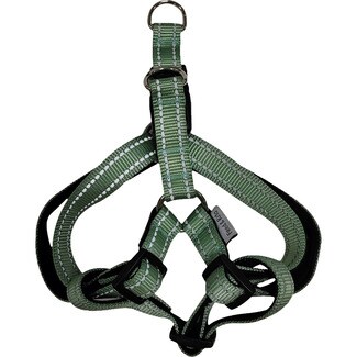 FRED&RITA reflektierendes Hundegeschirr in Eukalyptusgrün 2,5x55-75 cm 1 Einheit