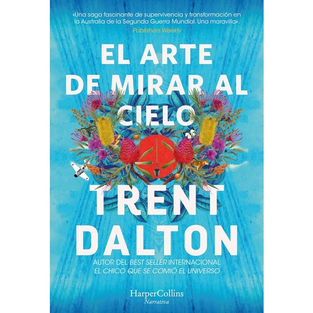 El arte de mirar al cielo (Tapa blanda)