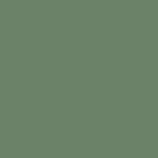 04 Noir Malachite