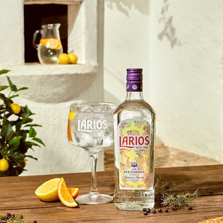 Ginebra botella 1 l - Larios