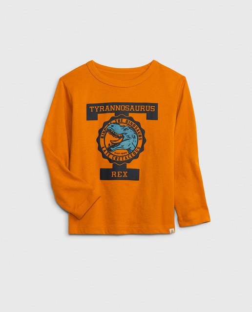 Camiseta de niño de manga larga