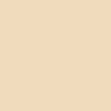 2 Gold (Shimmer)
