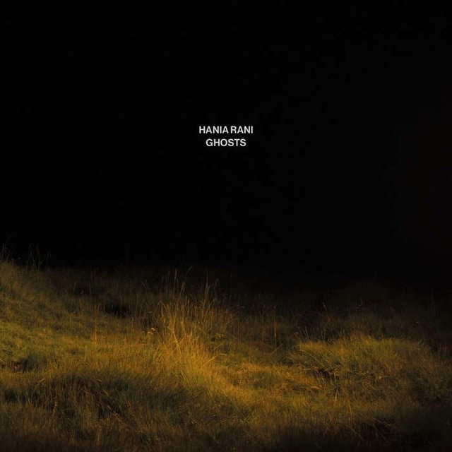 Ghosts (LP-Vinilo).