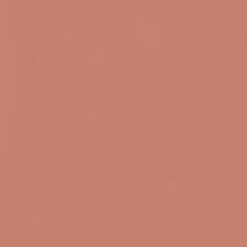 Nude Kate- Global