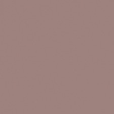 Chocolate Bronze