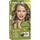 NATURTINT 7N hazel blonde permanent ammonia-free hair colour gel box 1 each