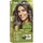 NATURTINT 6N dark blonde permanent ammonia-free hair colour gel box 1 each