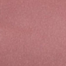 731 Rose Berry