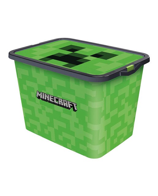 Caja ordenación Minecraft