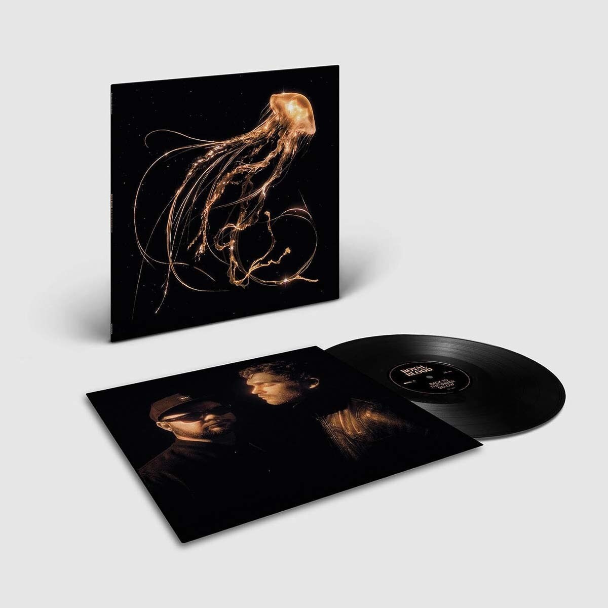 Back to the water below (LP-Vinil) 2