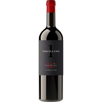 LOPEZ CRISTOBAL Reserva tempranillo red wine DO Ribera del Duero bottle 75 cl