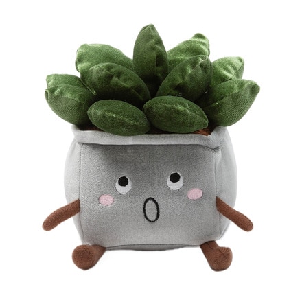 Peluche suculenta en maceta 