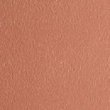 12 Beige Doré