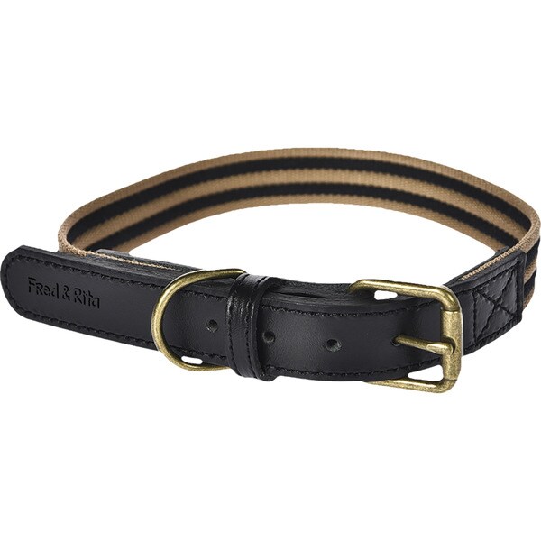 Hundehalsband Boston Schwarz 1,9x35-46 cm 1 Einheit