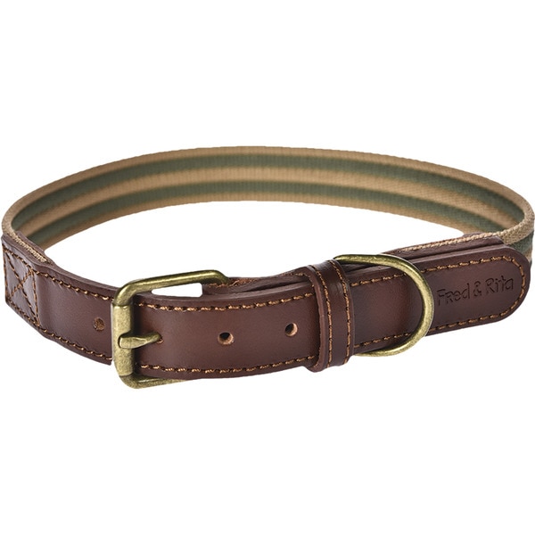 Hundehalsband Boston Grün Größe M 1,9x35-46 cm 1 Einheit