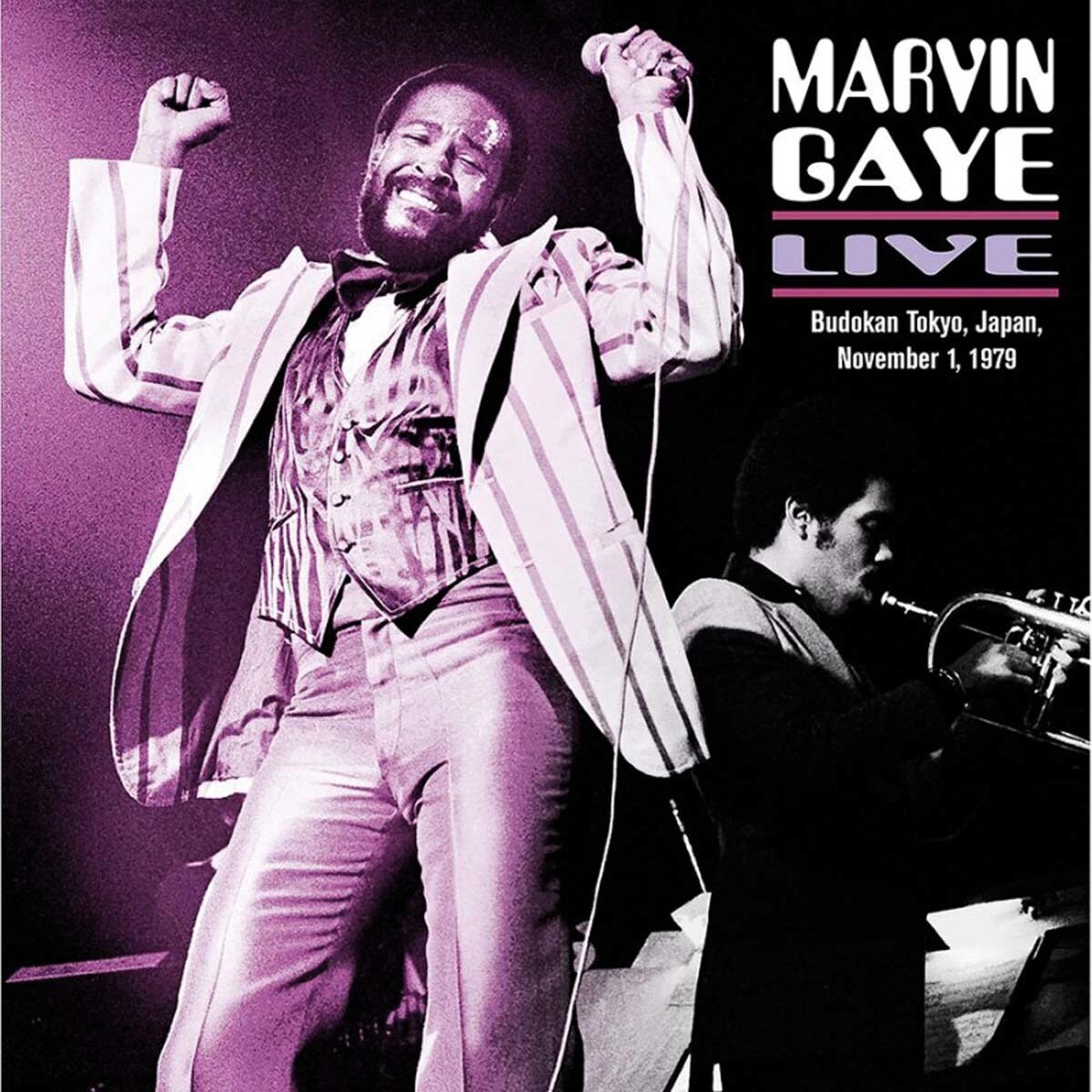 Imagem 0 de Live - Budokan Tokyo 1979  (2 LP-Vinil)