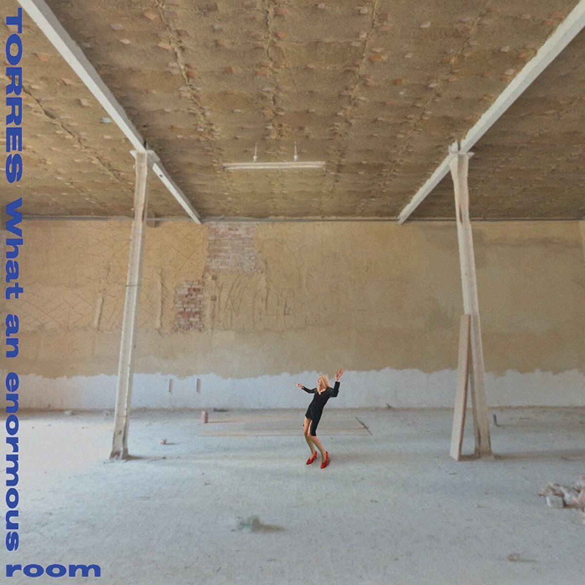 Imagem 0 de What an enourmous room (LP-Vinil)