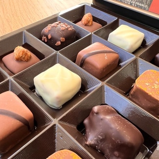 Bombones de chocolate surtidos lata 300 g - Chevaliers D'argouges