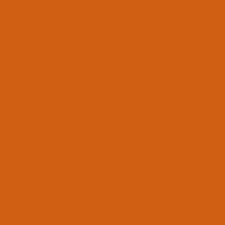 307 - Louise Orange