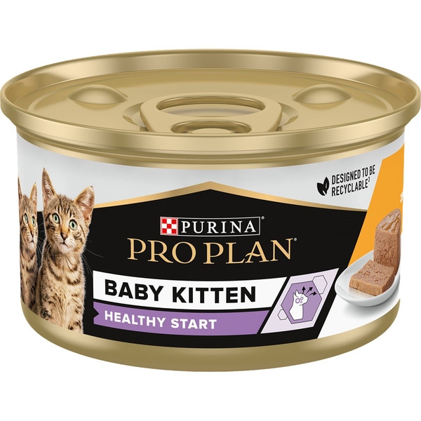 Purina kitten food wet best sale