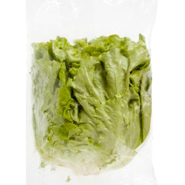 Alface unidade 1 unidade