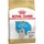ROYAL CANIN pienso para perros cachorros Golden Retriever saco 12 kg