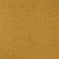 Ocre
