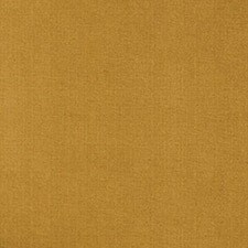 Ocre