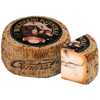 Pecorino Moliterno queso italiano de oveja con trufa negra - Central