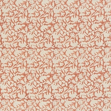 Terracota
