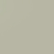 Gris Gabardina