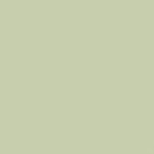 Beige tenue