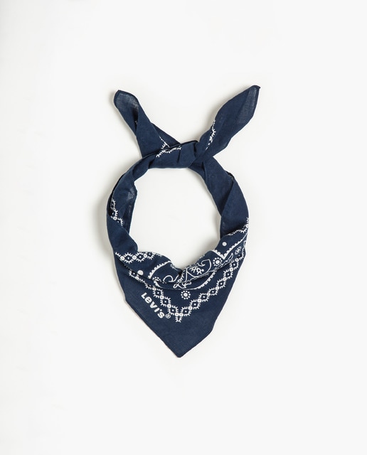 Paisley bandana