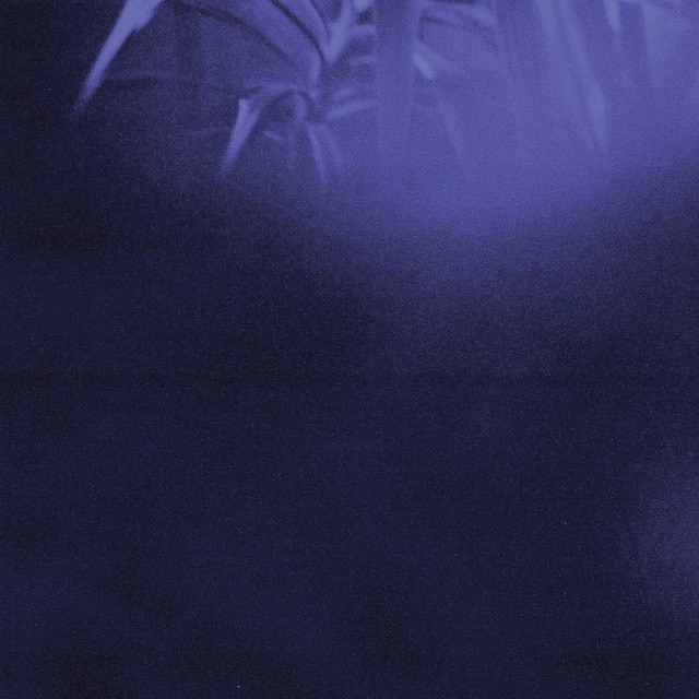 Nocturnal Journey LPVinilo