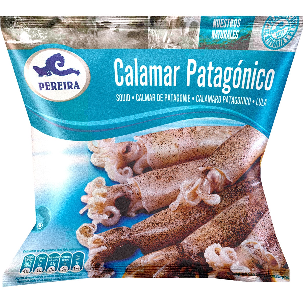calamar patagónico