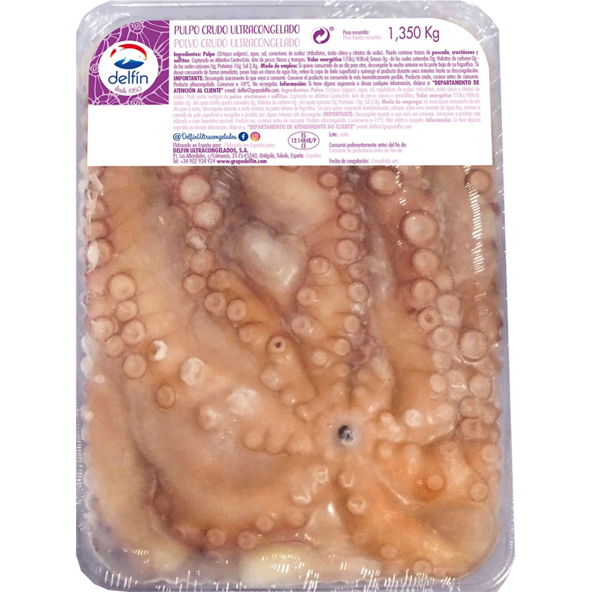 pulpo entero crudo