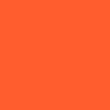 Peach 319