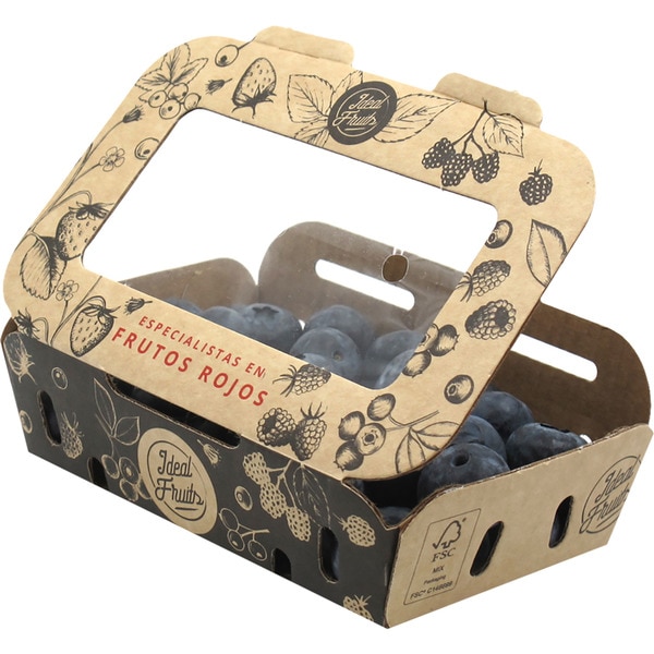 organic blueberry tub 125 g