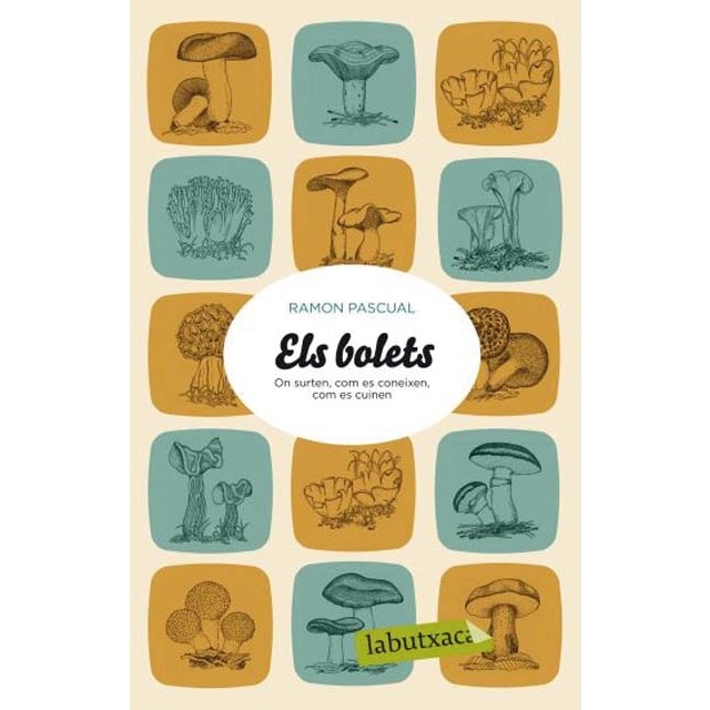 Els bolets: On surten, com es coneixen, com es cuinen