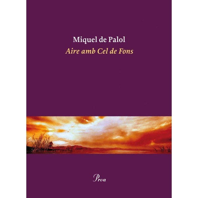 Aire amb Cel de Fons