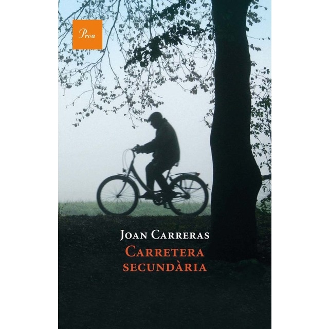 Carretera secundària