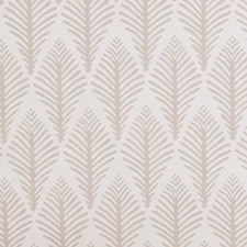 Crudo / Tostado Crudo / Tostado