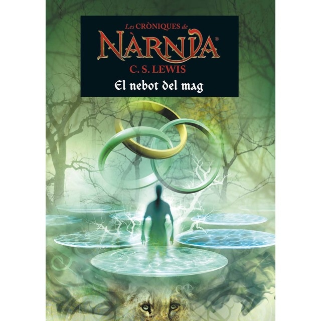 El nebot del mag (Tapa blanda)