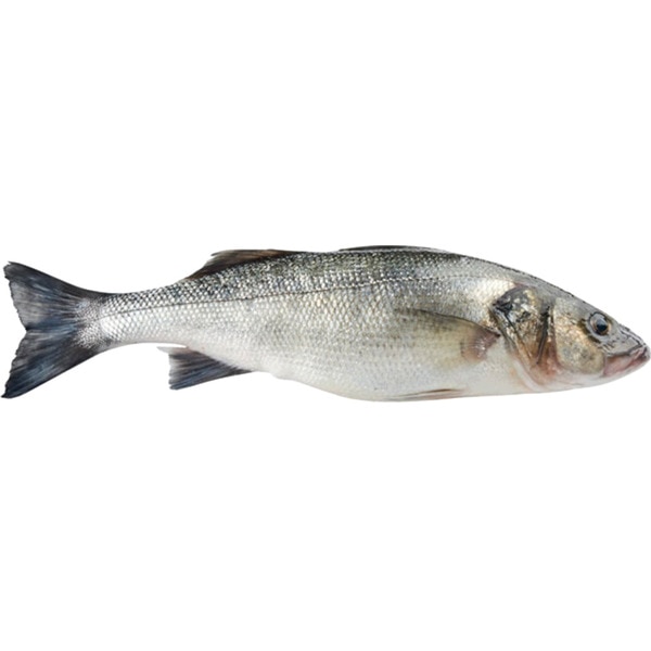 Robalo Nacional Aquicultura Peso Aproximado unidade 500 g
