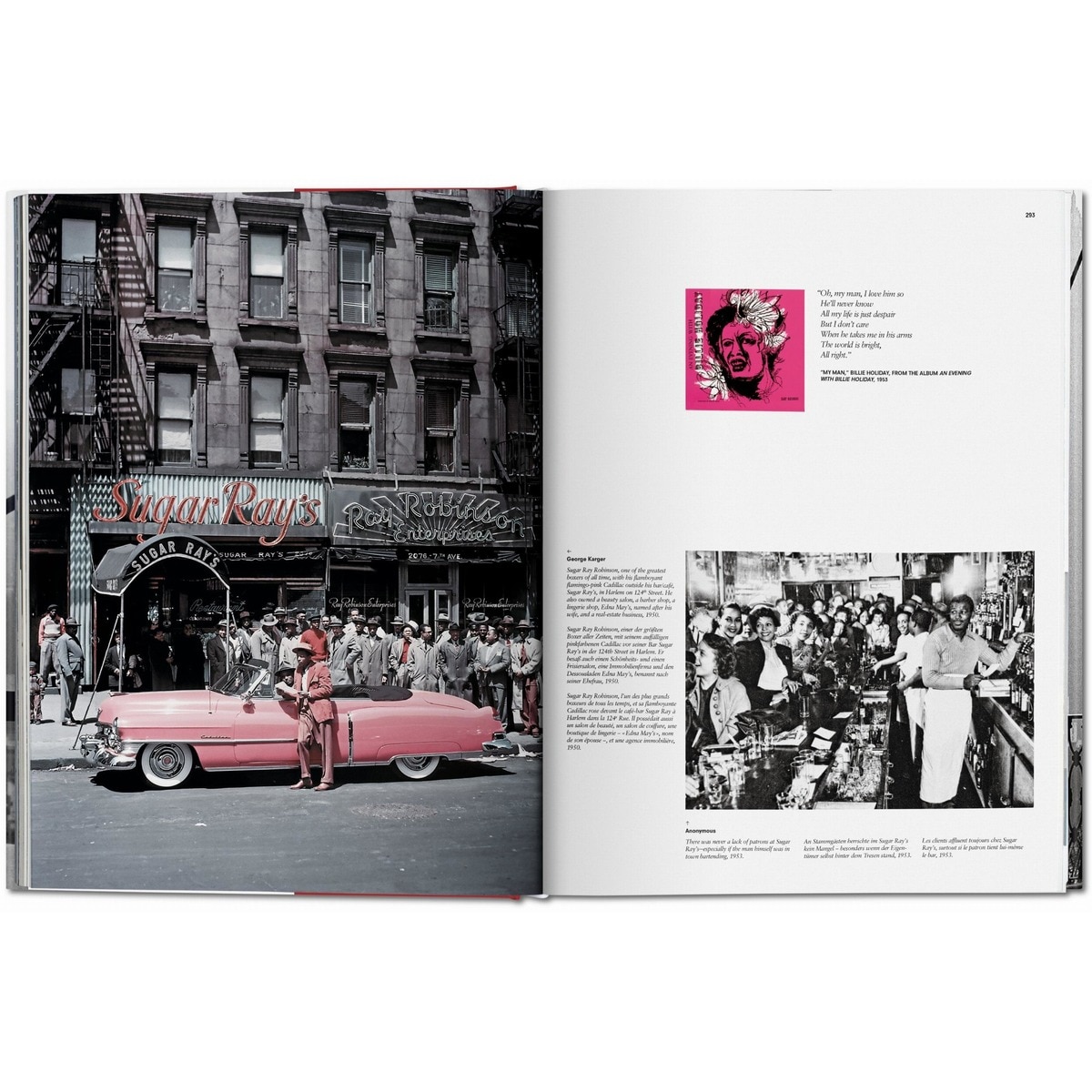 New York. Portrait of a City (Capa dura) 2