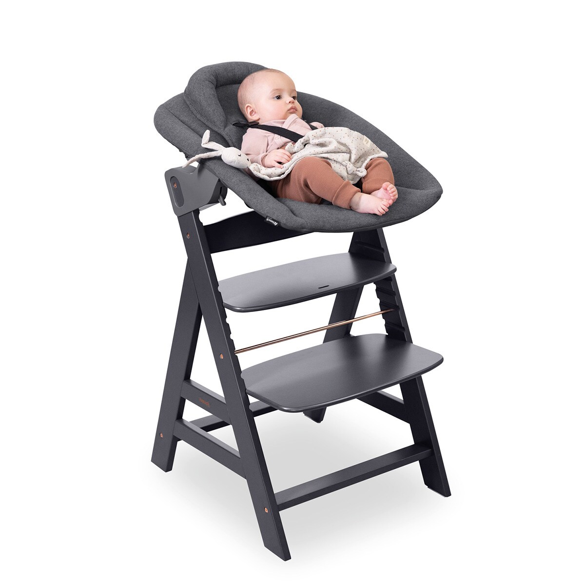 Cadeira de Refeição Evolutiva Alpha Newborn Set Plus Cinzento-escuro-13